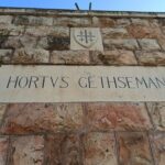 Full-Day Tour to Bethlehem and Jerusalem - In-Depth Look at the Itinerary