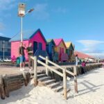Full-Day Tour to Cape of Good Hope & Penguins from Cape Town - The Value of a Guided Small-Group Tour