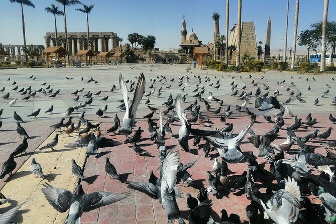 full day Tour to east and west bank of Luxor - What to Expect on the Tour