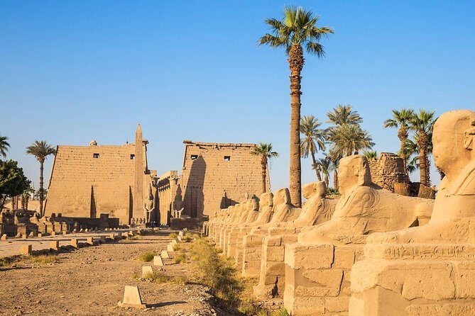 Full Day Tour To East and West Banks of Luxor - What Makes This Tour Stand Out?
