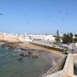Full Day Tour To Essaouira Mogador From Marrakech - What Could Be Better?
