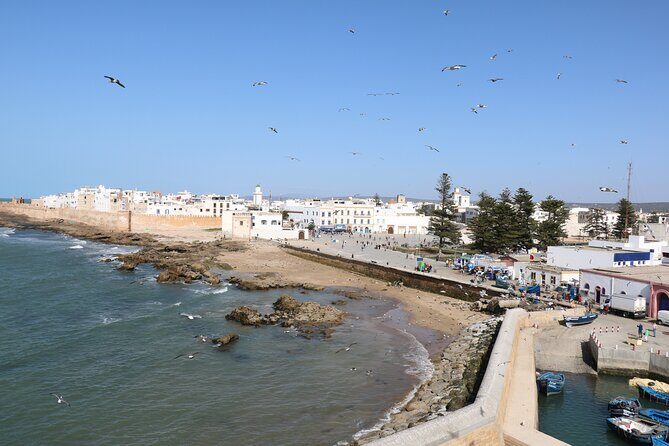 Full Day Tour To Essaouira Mogador From Marrakech - What Could Be Better?