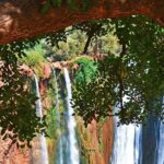 Full Day Tour to Ouzoud Waterfall - Meeting Point & Timing