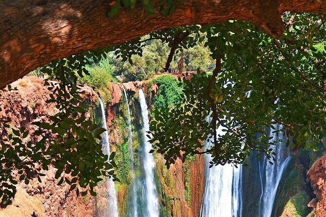 Full Day Tour to Ouzoud Waterfall - Meeting Point & Timing