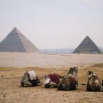 Full Day Tour to Pyramids of Giza, Saqqara Step Pyramids & Sound and Light Show - Detailed Breakdown of the Itinerary