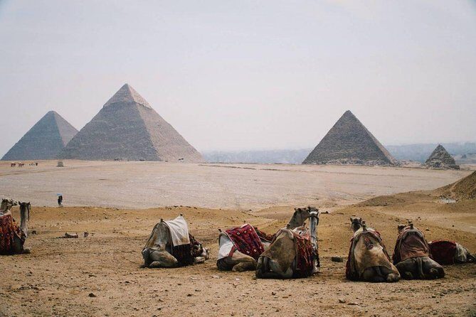 Full Day Tour to Pyramids of Giza, Saqqara Step Pyramids & Sound and Light Show - Detailed Breakdown of the Itinerary