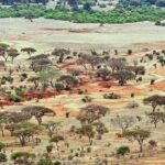 Full Day tour to Tsavo East National Park from Mombasa - The Sum Up: Is This Tour Worth It?