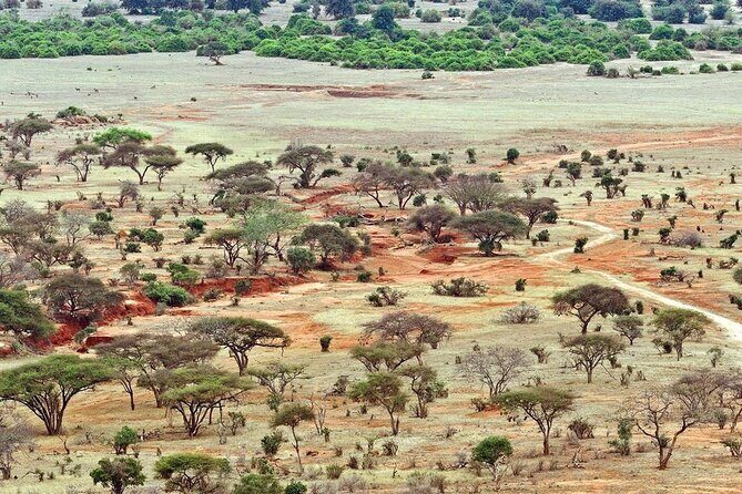 Full Day tour to Tsavo East National Park from Mombasa - The Sum Up: Is This Tour Worth It?