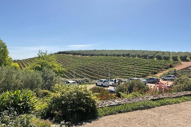 Full Day Tour to Wine Estates Stellenbosch, Franschhoek and Paarl - What Makes This Tour Stand Out?
