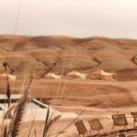Full Day Trip Agafay Desert Atlas Mountains Camel Ride Quad Bike - Transportation and Logistics