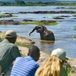 Full-Day Trip Chobe National Park Safari - Key Points