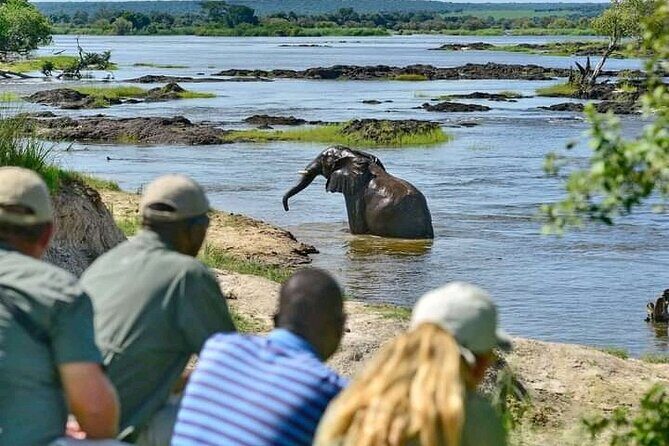 Full-Day Trip Chobe National Park Safari - Key Points