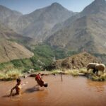 Full Day trip from Marrakech & there valleys with camel ride - Transportation and Group Size