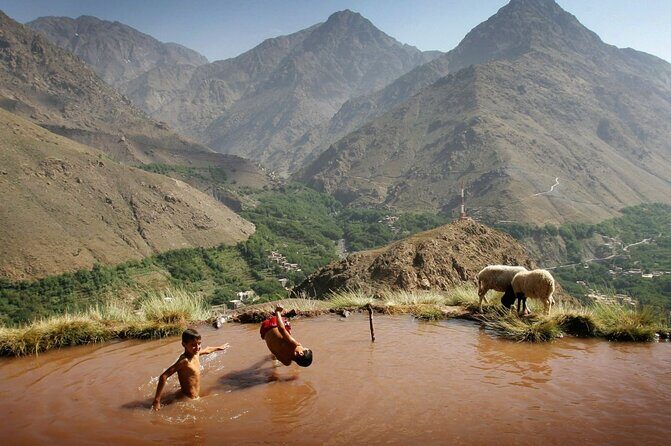 Full Day trip from Marrakech & there valleys with camel ride - Transportation and Group Size