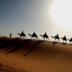 Full day trip from Zagora To erg chigaga Desert - Setting Expectations for the Day