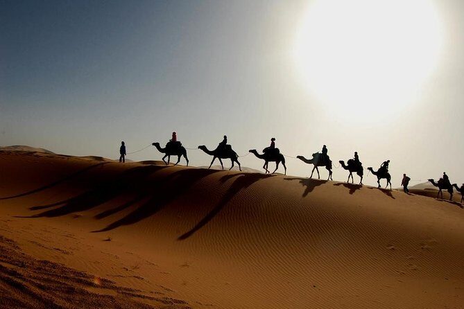 Full day trip from Zagora To erg chigaga Desert - Setting Expectations for the Day
