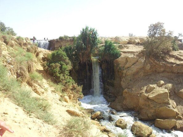 Full Day Trip to El-Fayoum Oasis & Wadi El-Hitan from Cairo - Detailed Breakdown of the Tour Experience