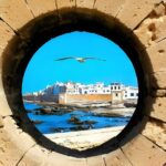 Full Day Trip To Essaouira - The Practicalities: Pros and Cons