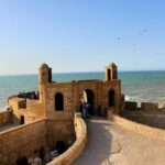 Full-Day Trip to Essaouira from Agadir - Authentic Insights from Past Travelers