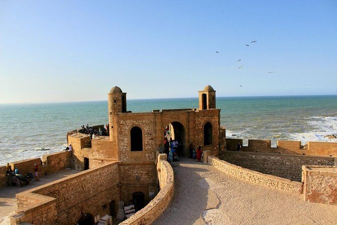 Full-Day Trip to Essaouira from Agadir - Authentic Insights from Past Travelers