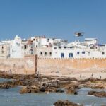 Full Day Trip To Essaouira Mogador From Marrakech - Transportation and Logistics