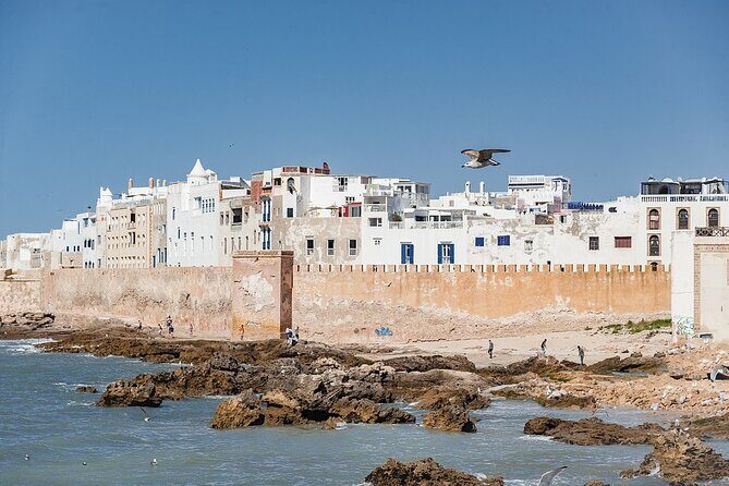 Full Day Trip To Essaouira Mogador From Marrakech - Transportation and Logistics