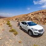 Full day trip to Marrakech from Casablanca - Who This Tour Is Best For