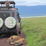 Full-Day Trip to Ngorongoro Crater from Arusha Town - Why This Tour Offers Great Value