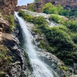 Full day trip to Ourika vally - Price and Value for Money