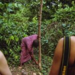 Full Day Trip to Stone Town, Spice Farms and Prison Island - Final Thoughts: Who Will Love This Tour?