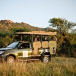 Full Day Ultimate Pilanesberg National Park Safari from Johannesburg or Pretoria - What Sets This Tour Apart