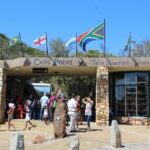 Full Day visit to Cape Point Cape of Good Hope for Special needs from Cape Town - Pricing and Value