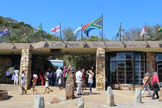 Full Day visit to Cape Point Cape of Good Hope for Special needs from Cape Town - Pricing and Value