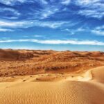 Full-Day Wahiba Desert and Wadi Bani Khalid Group Tour - The Experience in Detail: What Travelers Really Think