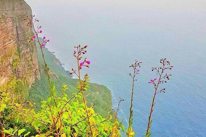 Full day west tour of Salalah - Who Would Love This Tour?