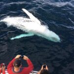 Full-Day Whale Watching and Wine Region Experience from Cape Town - What to Expect at Each Stop