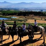 Full Day  Wine Tasting Horse Trail - Authentic Experiences and Hidden Insights