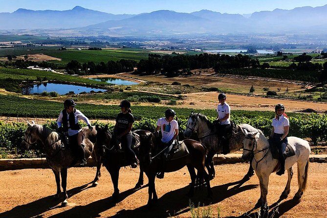 Full Day  Wine Tasting Horse Trail - Authentic Experiences and Hidden Insights