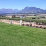 Full Day Wine Tasting in Stellenbosch, Franschoek & Paarl fees included - The Itinerary Breakdown: What to Expect