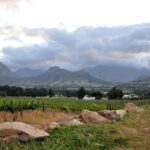 Full-Day Wine Tour from Stellenbosch - Transport and Group Size