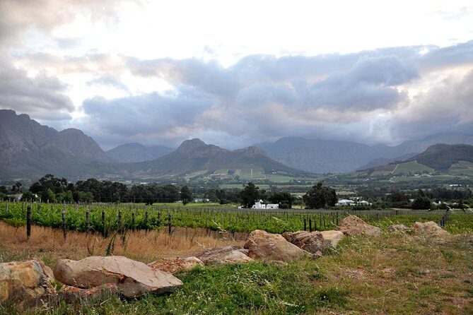 Full-Day Wine Tour from Stellenbosch - Transport and Group Size