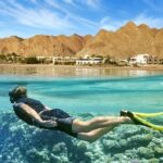 Full Relaxing Day To The Red Sea From Cairo Or Giza Hotel - The Experience in Detail