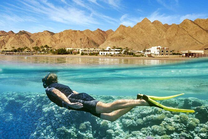 Full Relaxing Day To The Red Sea From Cairo Or Giza Hotel - The Experience in Detail