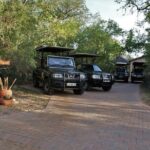 Fullday Gamedrives in Kruger National Park from Marlothpark - Breakdown of the Day