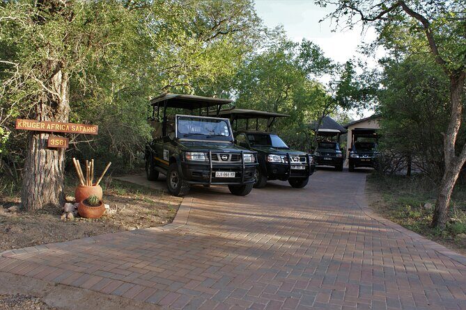 Fullday Gamedrives in Kruger National Park from Marlothpark - Breakdown of the Day