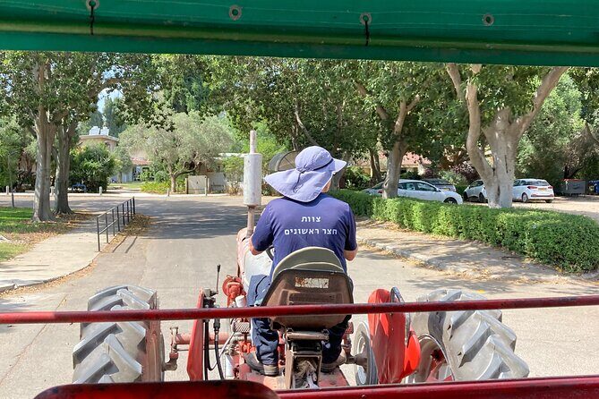Fully Inclusive The Israeli Kibbutz Experience - What Might Not Work for Everyone