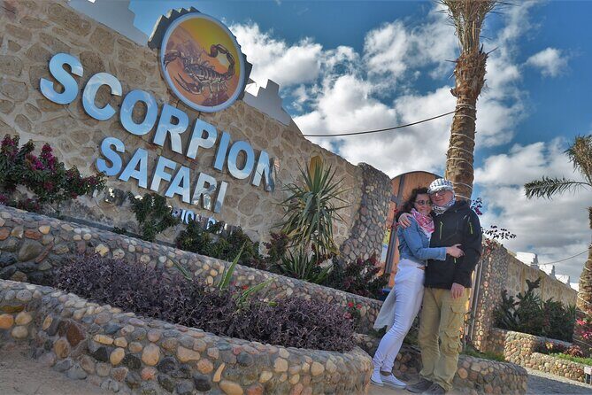 Fun Safari ATV, Buggy Car and Dinner, Show-Hurghada - Who is This Tour Best For?