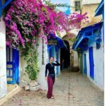 Fun VIP Tour: Tunis, Sidi Bou Said, Carthage | PICKUP ALL CITIES! - Transport and Flexibility: Why They Matter
