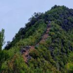 Funchal: Bica da Cana to Encumeada Guided Hike with Pickup - Practical Details & Value
