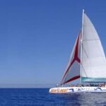Funchal: Dolphin and Whale-watching Catamaran Tour - Who Will Love This Tour?